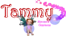 fairy sparkle