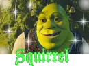 squirrel shrek