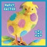 HAPPY!! EASTER!!