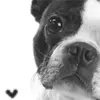 AWW PUPPY LOVE