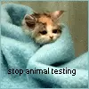 Stop animal testing