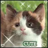CUTE