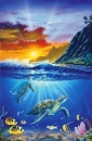 Sea Life