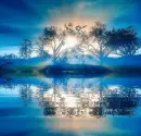 blue trees