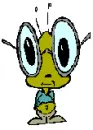 Buggy Bug