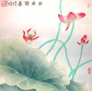 Chinese Lotus