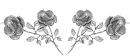 silver roses