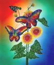 Rainbow Butterflies