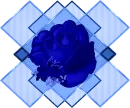 Rose Of Blue