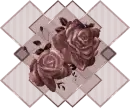 Rose Of  Brown