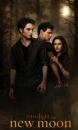 New Moon Poster Brown 123456789