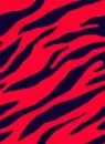 Red Zebra