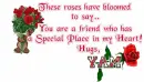 Roses for you friend-Yam