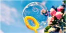 bubbles with flower