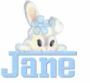 rabbit-Jane