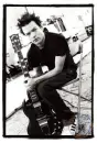 sum 41