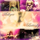 Shugo Chara