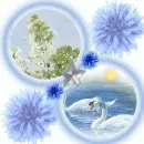 blue