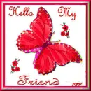 My Friend