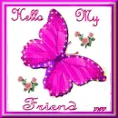 Friend Butterfly
