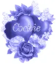 Cookie