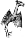 new jersey devil