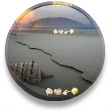 SEA SHELLS