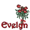 Evelyn