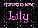Forever in Love: Lily