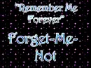 Remember Me Forever--Forget-Me-Not