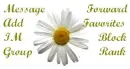 Daisy