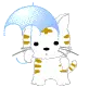 Kitty 