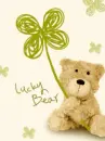 lucky bear