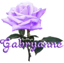 purple rose gabryanne