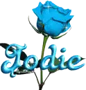 baby blue rose jodie