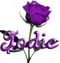 purple rose jodie
