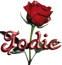 red rose jodie