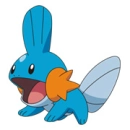 cute animal