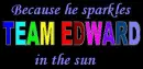 Team Edward
