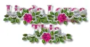 Linda loves this roses