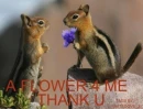 A FLOWER 4 U