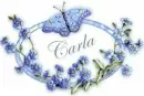 Oval Ribbon with Butterfly - Carla