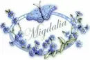 Oval Ribbon with Butterfly - Migdalia