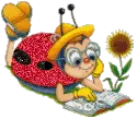 Ladybug