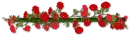 Redflowers