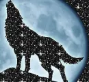 animated wolf