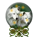Wolf and stars