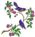 Flowers & Birds