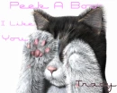 Peek a boo i like you Tracy