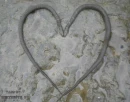 SNAKE  HEART